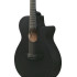 Ibanez AEG621BOT Black Out