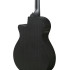 Ibanez AEG621BOT Black Out