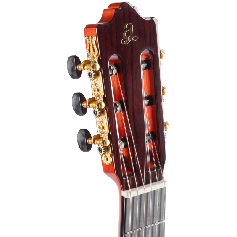 Admira Alegria Flamenco Cutaway with Fishman electronics