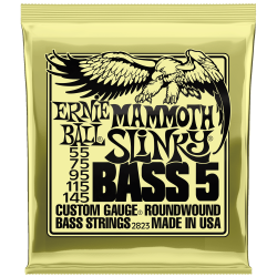 Ernie Ball EB2823 Slinky Mammoth 5 String