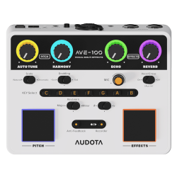 Audota AVE-100 Multiefectos de Voz