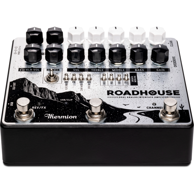 Thermion Roadhouse Amp