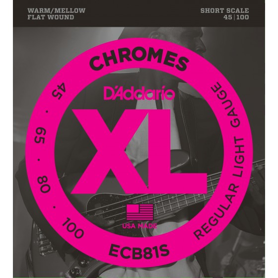 ecb81s_chromes_light_45-100-9470.jpg