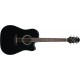 takamine_gd30ce.jpg