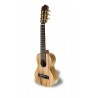 APC GS Guitarlele Simple