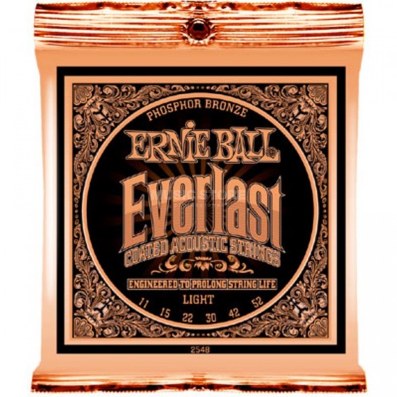 ernie_ball_eb2548_everlast_11-52.jpg