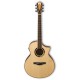 Ibanez AEW51-NT Natural