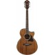 Ibanez AE254-NT Natural High Gloss