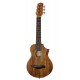Ibanez EWP14WB-OPN
